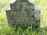 image of grave number 950713